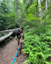 Flashes of life ⛰️📸