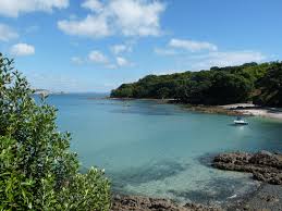 It is most commonly referred to as tiri. Okoromai Bay Bed And Breakfast Shakespear Park Focus On Tiri Tiri Matangi Island