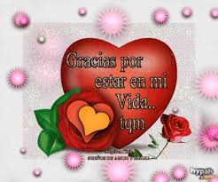 Https Encrypted Tbn0 Gstatic Com Images Q Tbn And9gcqwwq5ajpe2tdgsjjvtfpfpn4gdsi3bttrd4a Usqp Cau