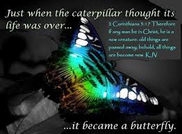 2 corinthians 5:17 (asv) wherefore if any man is in christ, he is a new creature: Word Of Truth Lighthouse December 2017