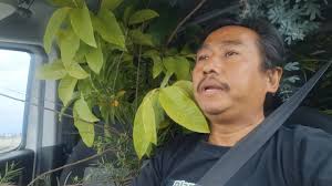 ကျော် သိင်္ခ