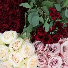Shop affordable diy wedding flowers. Burgundy Blush Diy Combo Pack Diy Wedding Flowers Fiftyflowers