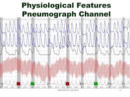 Physiological Features A Review Of Polygraph Test Data Ppt