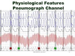 physiological features a review of polygraph test data ppt