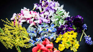 Check spelling or type a new query. Botanical And Herbal Innovations To Dominate 2018 S Top Food Trends