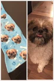 We did not find results for: For A Belated Christmas Present My Friend Got Me Socks With My Dog S Face On Them Aww