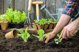 For sensitive plants, it should remain well above freezing temperatures. When Is It Time To Plant Hgtv
