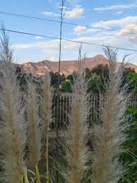 Self catering holiday accommodation