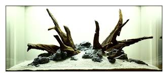 Start Of A New Scape Fish Aquarium Decorations Aquarium Landscape Aquascape Aquarium