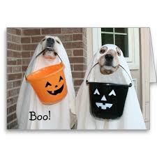 The golden retriever and the german shepherd are mixed together to make the golden shepherd. Golden Retriever Halloween Ghosts Card Zazzle Com Golden Retriever Halloween Dog Halloween Golden Retriever