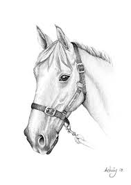 Pencil Drawings Of Horses Horse Drawings Animal Drawings Sketches Pencil Drawings Of Nature