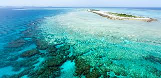 Sector Suspicious Over Great Barrier Reef Foundation S First Project Pba