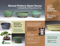 April Grigsby Ceramics Open House, Medina, Ohio, 10/31/20