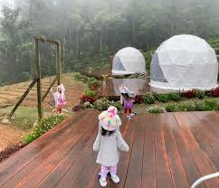 Mossy forest cameron highlands ini terletak di rabung gunung brinchang yang setinggi 2032 meter itu, yang mana merupakan gunung tertinggi di cameron ia juga menawarkan penginapan dalam bentuk 'english cottage'. Nak Ber Steambot Dengan View Yang Lawa Ini Dia Penginapan Rare Di Cameron Highland Daily Makan