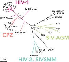 Subtypes Of Hiv Wikipedia