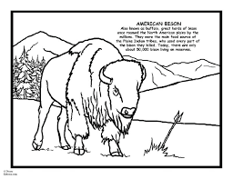 The spruce / wenjia tang take a break and have some fun with this collection of free, printable co. Drawing Bison 1257 Animals Printable Coloring Pages