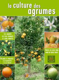 In situ immunofluorescence for the detection of citrus tristeza virus inclusion bodies. La Culture Des Agrumes Jean Marie Polese Artemis 2008 14 8 Mo By Agrihorti Issuu