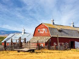 Traditional american ranch style steel frame concepts limited > american barn style houses true oak corrugated roofing the choice. Reuse With Article