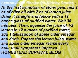 Lemon Juice Recipe For Kidney Stones The Homestead Survival Mix 2 Oz Of Olive Oil And 2 Oz Of Fres Kidney Recipes Lemon Juice Recipes Kidney Stones Remedy