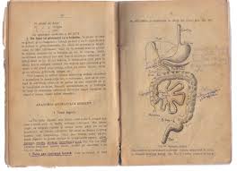 Digestia la nivelul intestinului subtire. Anatomia Si Fiziologia Omului 1928 Marin Demetrescu Free Download Borrow And Streaming Internet Archive