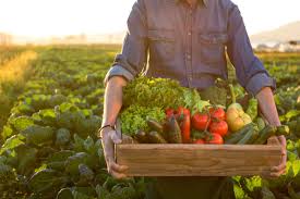 Organic Food Market India S Organic Food Mkt Growing At 17 Pc Annually Harsimrat Kaur Badal Retail News Et Retail