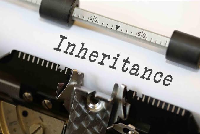 Image result for inheritance"