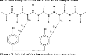Image result for Tessmannia burttii