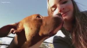 College Station rescue dog competing in national competition