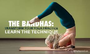 Check spelling or type a new query. The Bandhas Learn The Technique And Transform Your Yoga Practice Teaching Yoga Yoga Benefits Yoga Teacher Training