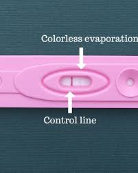 We did not find results for: What Does The Inside Of A Clearblue Digital Test Look Like Wehavekids