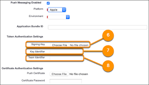 Create a salesforce connected app to enables an external application to integrate with salesforce using apis. Create A Connected App For Apple Ios Salesforce Mobile Notifications Implementation Guide Salesforce Developers