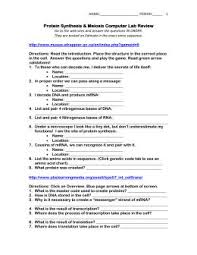 Snurfle meiosis worksheet answers worksheet esy mendelian genetics problem key answer. Dihybrid Cross Questions Drone Fest
