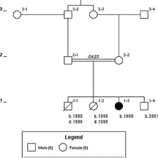 Pedigree Chart Showing Third Degree Consanguinity Download