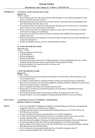 Check out this thorough finance project manager job description to help get your job search in gear. Audit Senior Manager Resume Samples Velvet Jobs