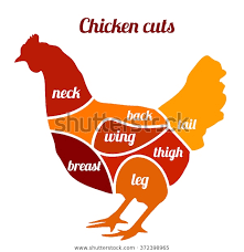 Chicken Cuts Vector Illustration Chicken Meat Animals