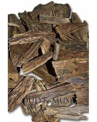 Agarwood (or just agar ) is a dark resinous heartwood that forms in aquilaria trees (large evergreens native to southeast asia ) when they become infected with a type of mold. Agarwood From Papua Grade A Oud And Musk
