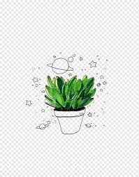 Check spelling or type a new query. Cactaceae Menggambar Tanaman Sukulen Tanaman Yang Dilukis Dengan Tangan Lukisan Cat Air Daun Estetika Png Pngwing