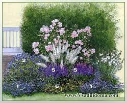 Maybe you would like to learn more about one of these? Clematis And Roses Photos Co Cultivation And Care Of Plantings A Site About A Garden A Summer Residence And House Plants