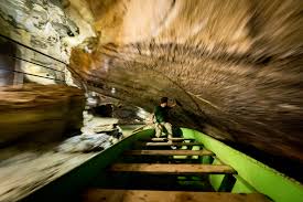 Sofiareynax onlyfans leaks Safiyaax - Busty Hoe Onlyfans