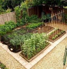 44 Affordable Diy Design Ideas For A Vegetable Garden 15 Home Decor Diy De 44 Aff Garden Layout Vegetable Garden Planning Layout Backyard Vegetable Gardens