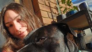 Dromana, Frankston, McCrae, Mornington & 1 other