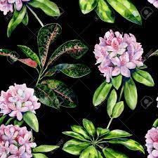 Select from premium watercolor floral pattern images of the highest quality. Tropical Rhododendron Flower Seamless Pattern Watercolor Interior Stock Photo Picture And Royalty Free Image Image 120887285