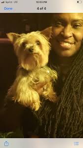 Sofia has been returned safely. Thank you