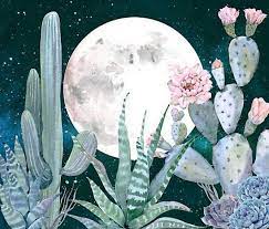 All png & cliparts images on nicepng are best quality. Cactus Night Pretty Pink And Blue Desert Stars Cacti Illustration Gorgeous Desert Southwestern Cactus Design In Sh Cactus Illustration Art Prints Blue Cactus