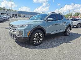 Image result for Blue Stone 2025 Santa Cruz