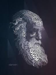 Charles Darwin Typography Quotes Art Print Lynx Art Collection Art Com In 2020 Typography Portrait Typography Poster Art Prints Quotes