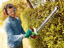 Wann darf man die hecke schneiden? Hecke Schneiden So Funktioniert Es Lidl De