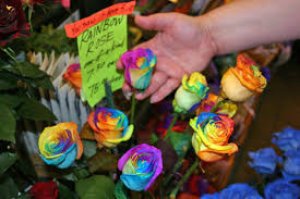 We`re located in carlton, close to the cbd in the foyer at frances perry house, royal women`s hospital. Rainbow Roses Are Extra Special Flowers For The Extra Special People In Your Life The Holiday And Party Guide