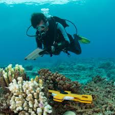 On the other end, a senior level marine biologist (8+ years of experience) earns an average salary of ¥8,817,230. How About Marine Biology