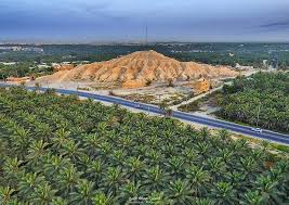 Saudi Arabia Alhassa صوره جوية للأحساء السعودية Natural Landmarks Grand Canyon Landmarks